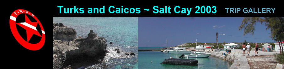 Salt Cay Gallery